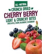 ALL-NATURAL CRUNCH DRIED CHERRY BERRY LIGHT & CRUNCHY BITES DRIED APPLE, CHERRY, BLUEBERRY, STRAWBERRY