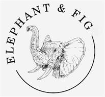 ELEPHANT & FIG