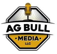 AG BULL MEDIA LLC