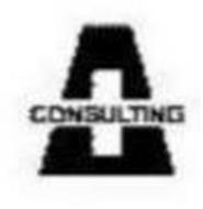 A+ CONSULTING