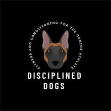 DISCIPLINED DOGS FITNESS AND CONDITIONING FOR THE CANINE ATHLETE