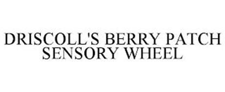 DRISCOLL'S BERRY PATCH SENSORY WHEEL