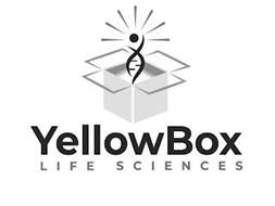 YELLOWBOX LIFE SCIENCES