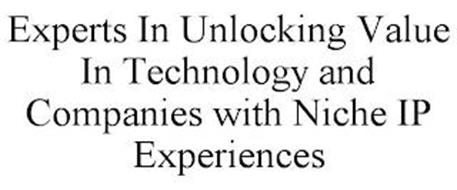 EXPERTS IN UNLOCKING VALUE IN TECHNOLOGY AND COMPANIES WITH NICHE IP EXPERIENCES
