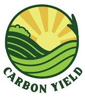 CARBON YIELD