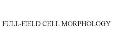 FULL-FIELD CELL MORPHOLOGY
