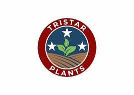 TRISTAR PLANTS
