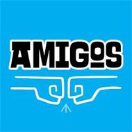 AMIGOS SPICE COMPANY