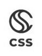 CSS CSS