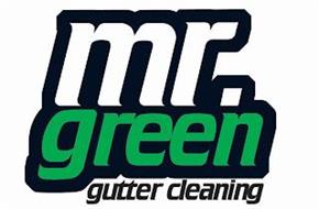 MR. GREEN GUTTER CLEANING