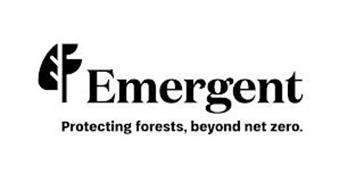EMERGENT PROTECTING FORESTS, BEYOND NET ZERO.