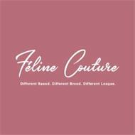 FELINE COUTURE DIFFERENT SPEED. DIFFERENT BREED. DIFFERENT LEAGUE.