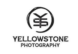 YS YELLOWSTONE PHOTOGRAPHY