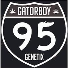 GATORBOY 95 GENETIX