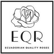 EQR ECUADORIAN QUALITY ROSES