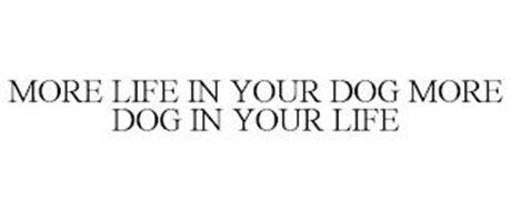 MORE LIFE IN YOUR DOG MORE DOG IN YOUR LIFE