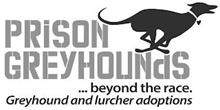 PRISON GREYHOUNDS ... BEYOND THE RACE. GREYHOUND AND LURCHER ADOPTIONS