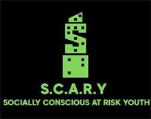 S S.C.A.R.Y SOCIALLY CONSCIOUS AT RISK YOUTH
