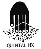 QUINTAL MX