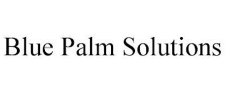 BLUE PALM SOLUTIONS