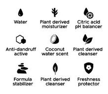 WATER PLANT DERIVED MOISTURIZER CITRIC ACID PH BALANCER ANTI-DANDRUFF ACTIVE COCONUT WATER SCENT PLANT DERIVED CLEANSER FORMULA STABILIZER PLANT DERIVED CLEANSER FRESHNESS PROTECTOR