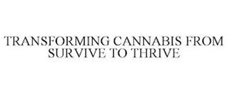 TRANSFORMING CANNABIS FROM SURVIVE TO THRIVE