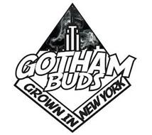 GOTHAM BUDS GROWN IN NEW YORK