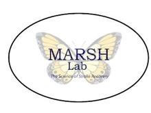 MARSH LAB THE SCIENCE OF STROKE RECOVERY