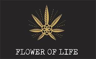 FLOWER OF LIFE