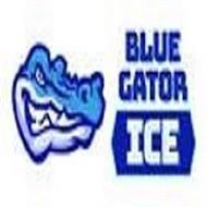 BLUE GATOR ICE