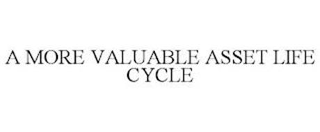 A MORE VALUABLE ASSET LIFE CYCLE