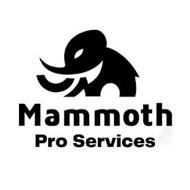 MAMMOTH PRO SERVICES