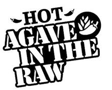 HOT AGAVE IN THE RAW
