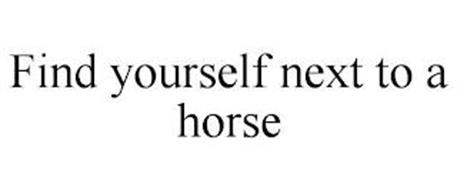FIND YOURSELF NEXT TO A HORSE
