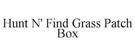 HUNT N' FIND GRASS PATCH BOX