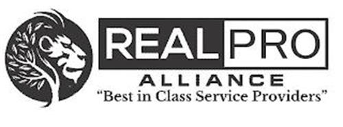 REALPRO ALLIANCE BEST IN CLASS SERVICE PROVIDERS