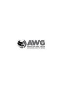 AWG AMERICAN WIRE GROUP EMPOWERING A BETTER WORLD