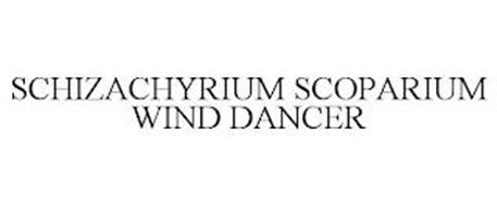 SCHIZACHYRIUM SCOPARIUM WIND DANCER