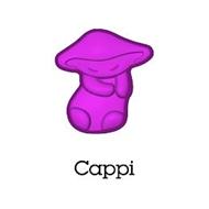 CAPPI