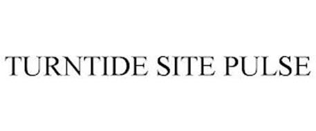 TURNTIDE SITE PULSE