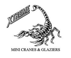 XTREME MINI CRANES & GLAZIERS