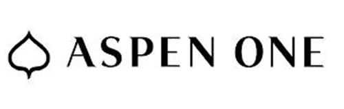 ASPEN ONE