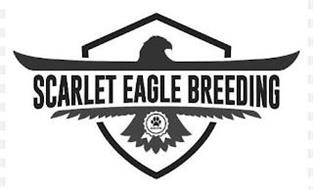 SCARLET EAGLE BREEDING AKITA