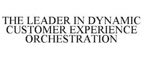 THE LEADER IN DYNAMIC CUSTOMER EXPERIENCE ORCHESTRATION