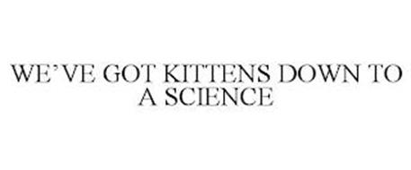 WE'VE GOT KITTENS DOWN TO A SCIENCE