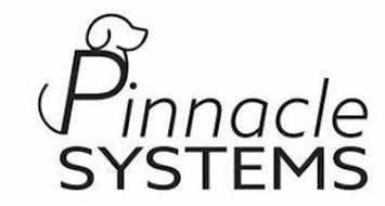 PINNACLE SYSTEMS