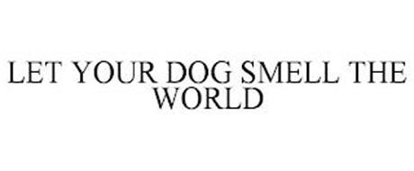 LET YOUR DOG SMELL THE WORLD