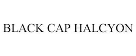 BLACK CAP HALCYON