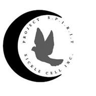PROJECT S.P.I.R.I.T SICKLE CELL INC.