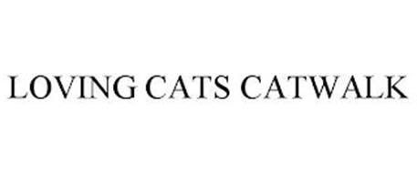 LOVING CATS CATWALK